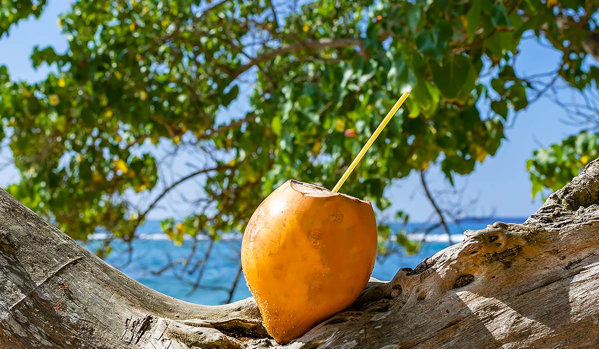 King Coconut Water