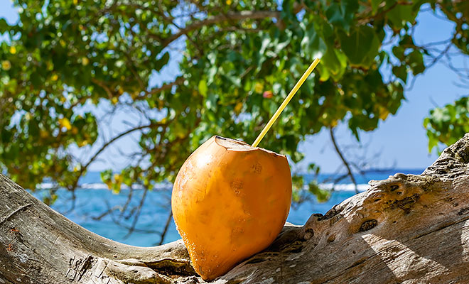 King Coconut Water