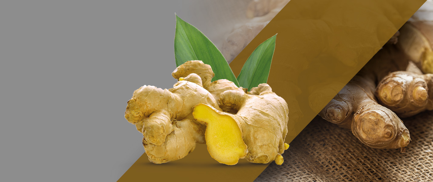 Pure Ceylon Ginger